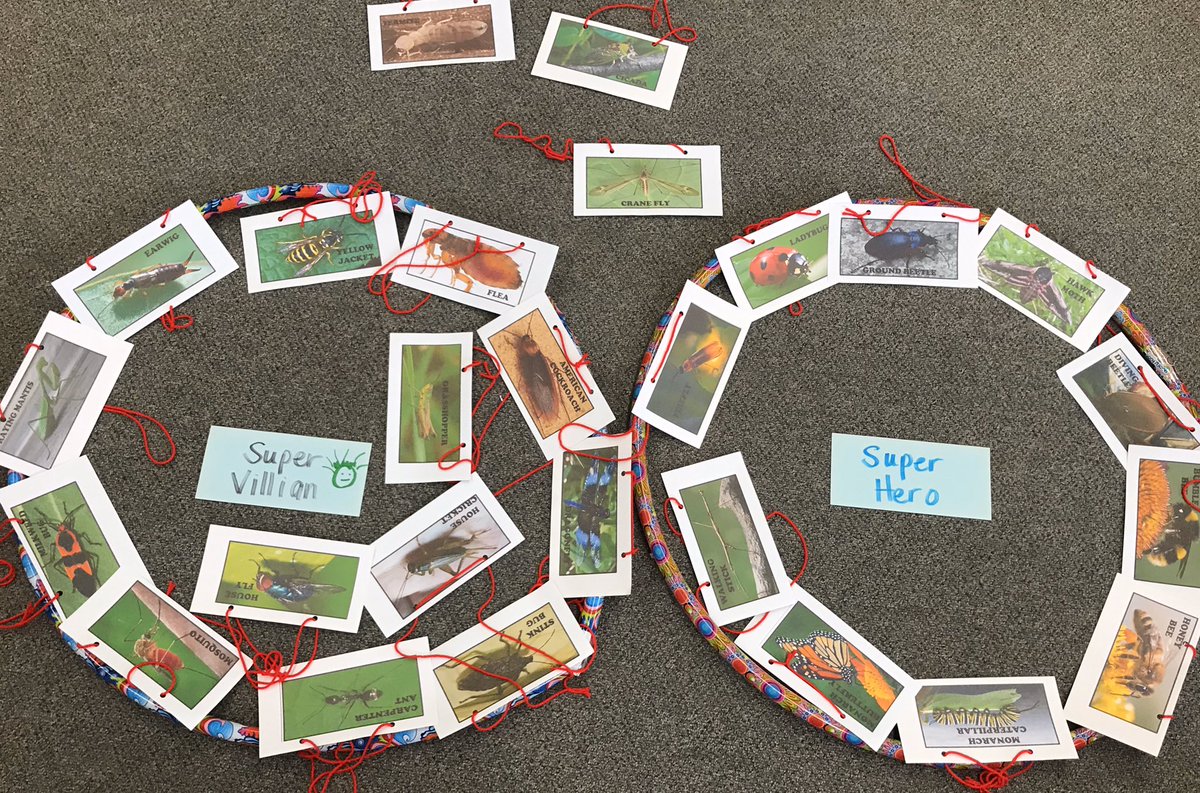 beach5girl's tweet photo. We wore insect photos on our backs and asked for clues to guess who we were, then Super heroes/super villains sorting in hula hoops, now researching facts to prove claims @tuSTEMcenter @theresaklambert @ryan_kurada @dailystem @ReneeWellsSTEAM @PBLWorks @ImagineerSTEAM https://t.co/uvOdydQiba