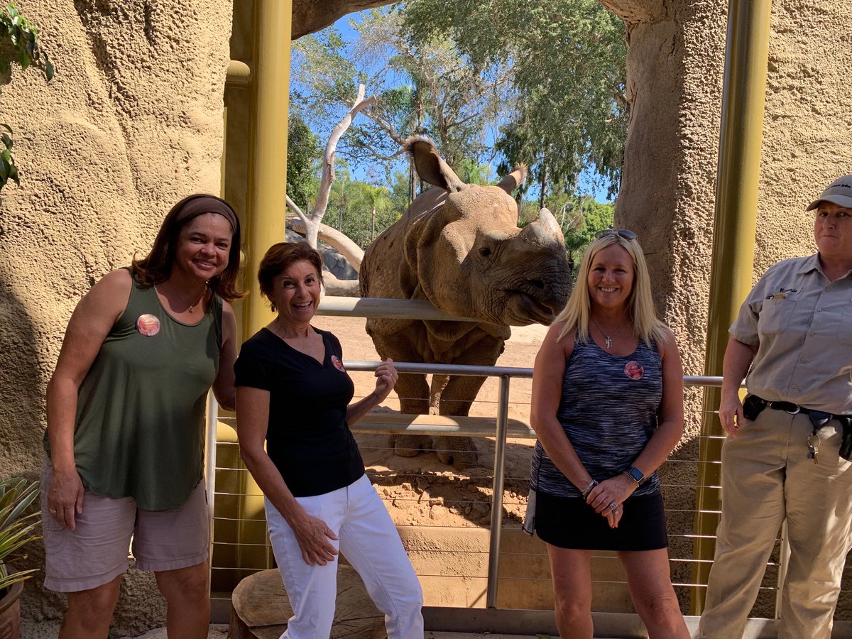 JulieScardina's tweet photo. Extending our wild weekend with a fabulous @sandiegozoo #animalsinaction experience - what a blast! Exceeds expectations 👍🏻 @ZooNicki @ZooKeeperRick https://t.co/aS6bpBPvWF