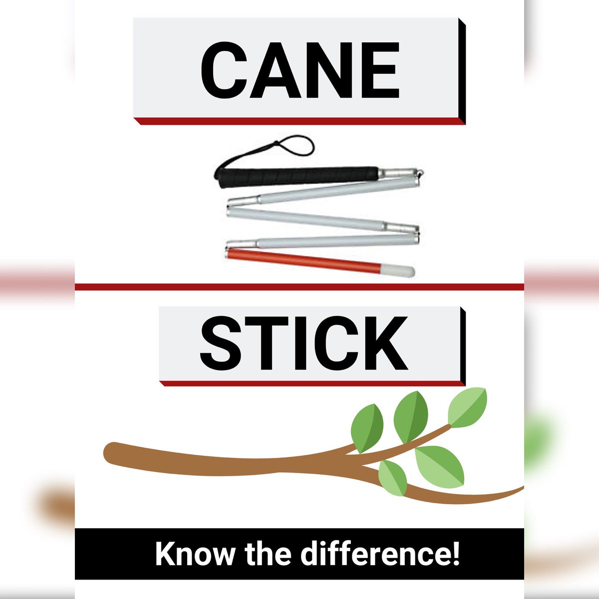 9MoreThanCore's tweet photo. We are so excited for White Cane week this week! I’ve got so many ideas planned leading up to White Cane Day!! https://t.co/oIVzTINlih
