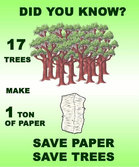 They're making paper out of stone -- and saving lots of trees