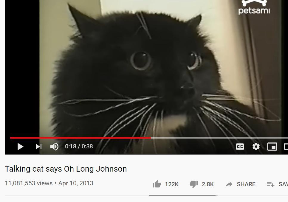 Stream Talking Cat Says Oh Long Johnson by BcaPd