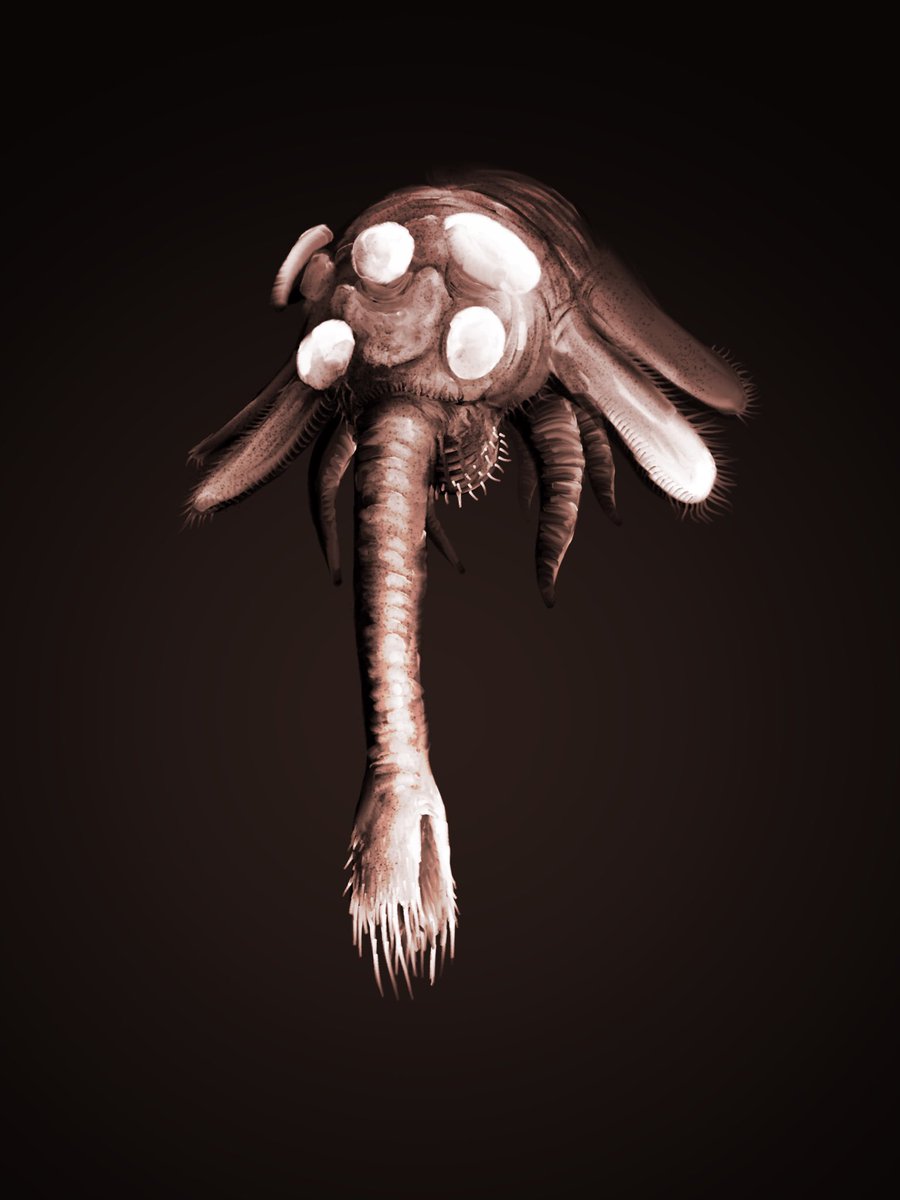 Prehistorica (Christian M.) tweet media