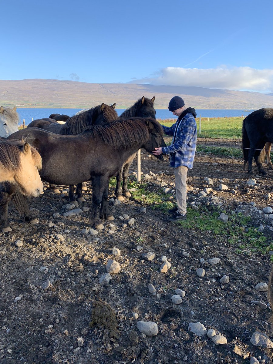 kanekawelo's tweet photo. A wee bit of Iceland. https://t.co/LUf2V36INb