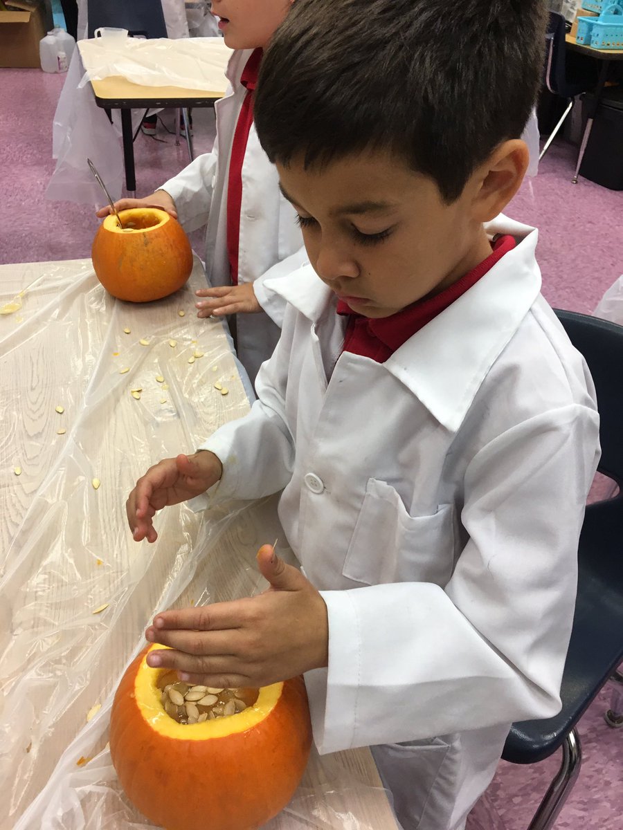 MsEhlisawesome's tweet photo. The #stem enrichment made #Pumpkinslime with #pumpkins. They had so much fun getting dirty and learning how to create slime with pumpkin guts and seeds. @ContactSolLtd @BonitaCharter @CSUSAhq @CSUSAJonHage @Elmers #stemlab #science https://t.co/lvMl7rA0ln