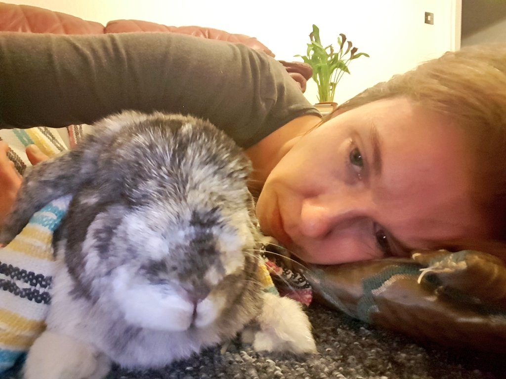 YodaEgg's tweet photo. Yesterday afternoon my Yoda passed away suddenly. I am entirely heartbroken but thankful that I was able to be with him in his last moments. Love my gorgeous egg-shaped friend. https://t.co/CzsYs1BQuC