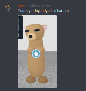 Adopt Me On Twitter Somehow Whenever I Take Screenshots Of Pets They Are Squinting From Msskr On Discord - roblox adopt me teddy bear