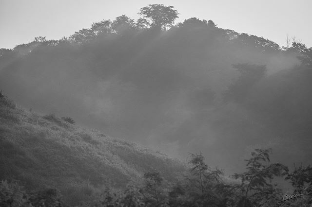 Niebla 📸📸 #blackandwhite #monochrome #instablackandwhite #monoart #insta_bw #irox_bw #fineart #bwstyles_gf #instagood #bw #bw_photooftheday #bw_lover #fineart_photobw #art #instaart #instaartist #gallery #naturephotography #nature #naturelovers #naturelover #landscapephotogr…