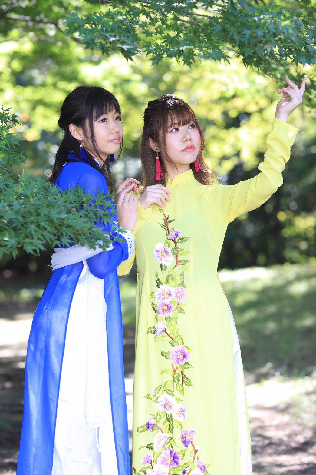 あおざい Twitter Search Twitter