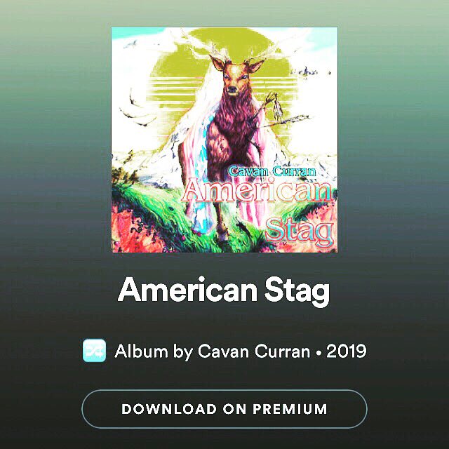 #Spotify #americanstag