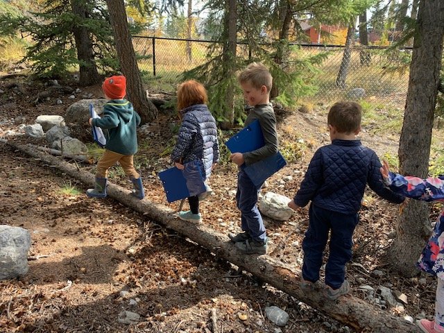MmeAnnaW's tweet photo. Looking for signs of fall before the snow flies!  @ers_school @MountainEdu #FallWalk #KindergartenOutdoorLearning https://t.co/GWwoozclpJ