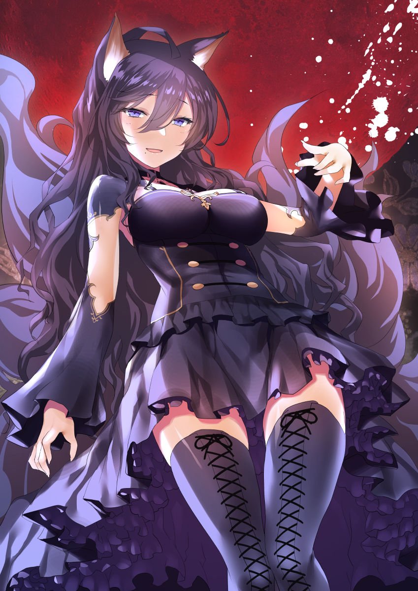 ホンマあんこの可愛さは五臓六腑に染み渡るでぇ……