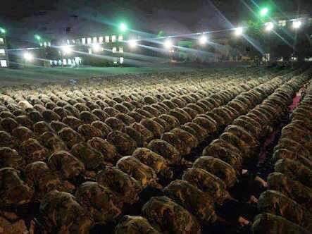 Yurdunu Allâh’a bırak, çık yola: 
“Cenge!” deyip çık ki vatan kurtula. 
Böyle müyesser mi gazâ her kula? 
Haydi, levend asker, uğurlar ola!
#OperationPeaceSpring 
#BarisPinariHarekati