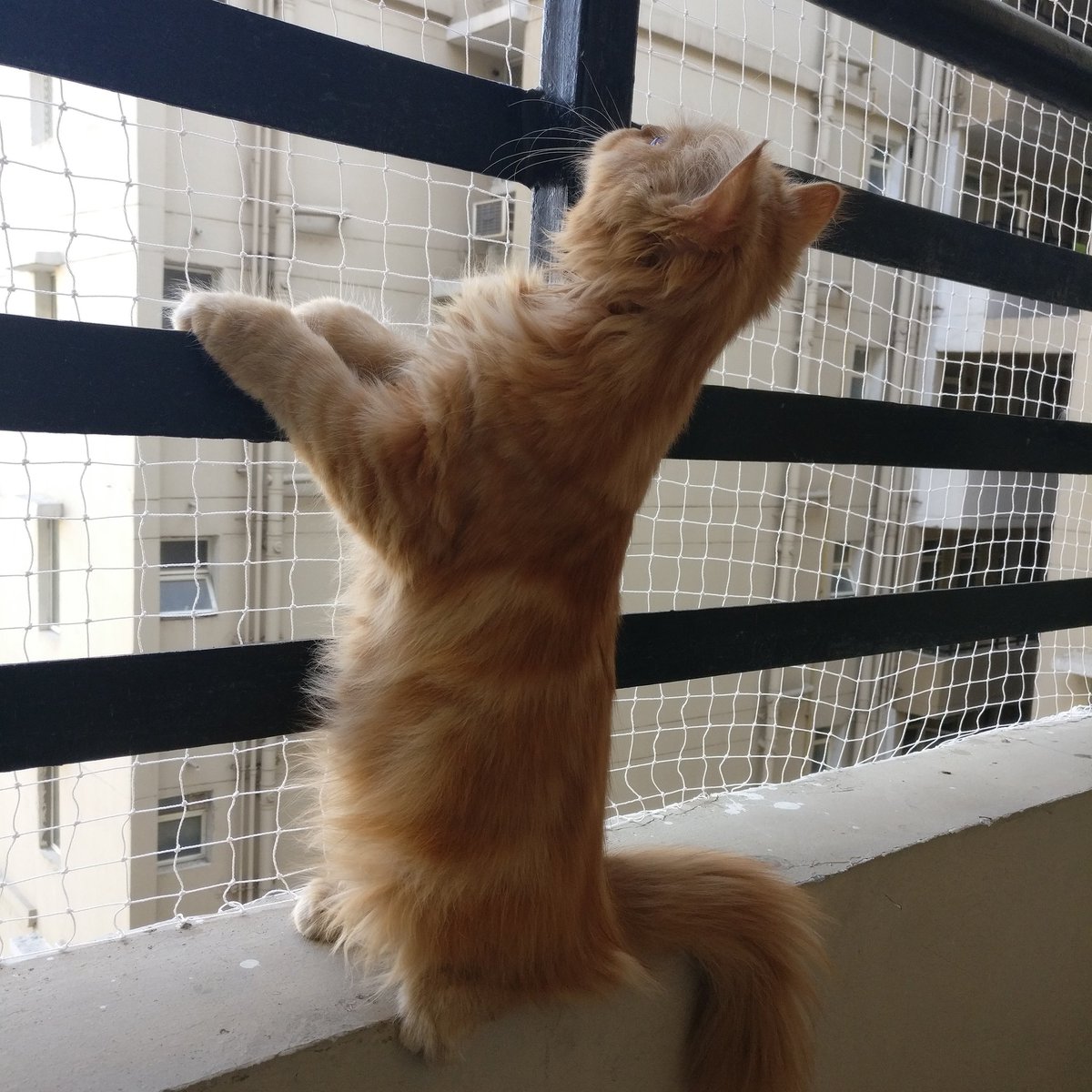 shwetadhyani's tweet image. And the post run stretch.. Very imp..    #running #MorningRun #slowbutmoving #beatyesterday #garmin #endorphins