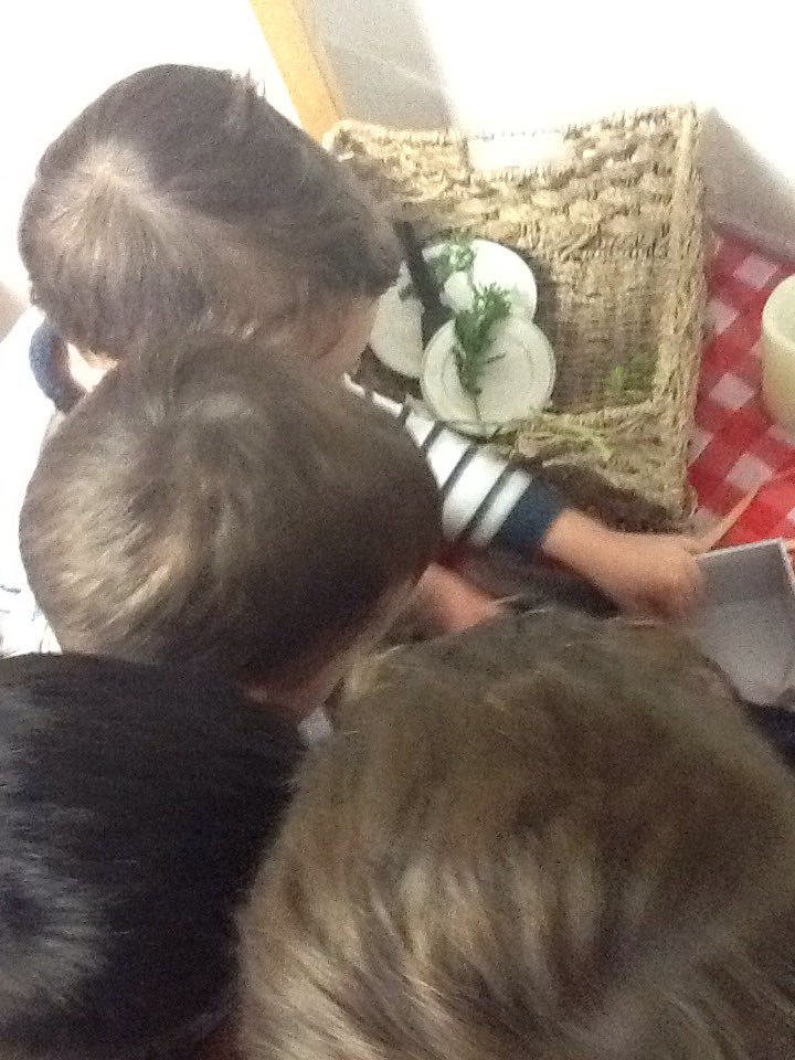 broxburn_ps's tweet photo. Yo ho me lovelies,the pirates have embarked on a treasure hunt in the ELC πβοΈβ΄ #goldcoins #findingclues #teamwork https://t.co/V7X7HyeYgq