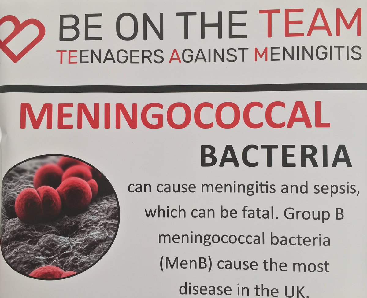 Alasdair Munro (@apsmunro) on Twitter photo Excited to be at <a href="/Symonds_College/">Peter Symonds College</a> this morning with <a href="/BeontheTEAM/">Be on the Team</a> study!
Vaccinating teenagers against MenB, protecting them and the people around them!
#VaccinesWork #VaccinesSaveLives #WhyIDoResearch Excited to be at <a href="/Symonds_College/">Peter Symonds College</a> this morning with <a href="/BeontheTEAM/">Be on the Team</a> study!
Vaccinating teenagers against MenB, protecting them and the people around them!
#VaccinesWork #VaccinesSaveLives #WhyIDoResearch