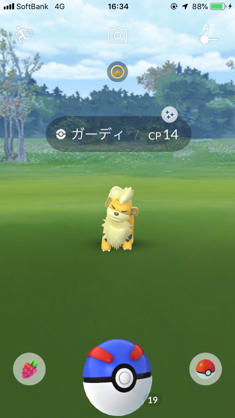 もなみ ポケモンgo 4匹目のガーディイロチ もう同じのはいいから他のも来て欲しい 旬のイロチお願いします ポケモンgo 色違い Cp可愛いけど T Co Umc6qcrkwq Twitter