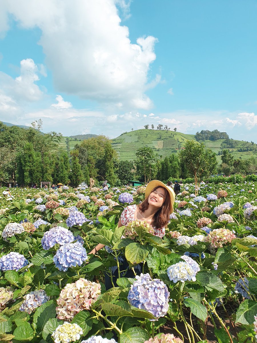 cooheartt's tweet photo. #reviewchiangmai โครงการหลวงบ้านขุนแปะ คือดีจริ้งงไม่อวย ไม่ต้องไปไกลถึงเวียดนาม ทุกรูปที่ได้มาคือกล้องโทรสับจ้า แบบต้องไปดูด้วยตาตัวเองพูดแค่นี้ เค้าบอกว่า ปลาย ตค ต้น พย ดอกไฮเดนเยียจะบานเต็มทุ่งอย่าลืมไปตำกันนะจ้ะ🌻ปล.เสิชบ้านขุนแปะไปตามโลปักหมุดจะหลง3ชมแบบเรา
#รีวิวเชียงใหม่ https://t.co/1th3QB8BVf