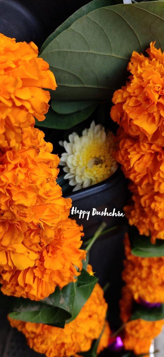 vaibhavchits's tweet photo. Enjoy the victory of Truth over Evil🙌
Hope truth will soon prevail in our country !
#getwellsoonmodia
#Dussehra2019 
#NOmodiagain
# https://t.co/2k4BJd0gJ5