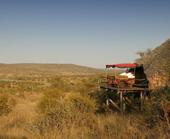 daydreamsafaris's tweet photo. Sleep under the stars at your lodge in Laikipia Kenya. Wonderful experience.
#safari #Travel #Traveler #travelphotography #LuxuryTravel #KenyaSafari #Laikipia #Starbed #travels https://t.co/S0g4Mukf5I