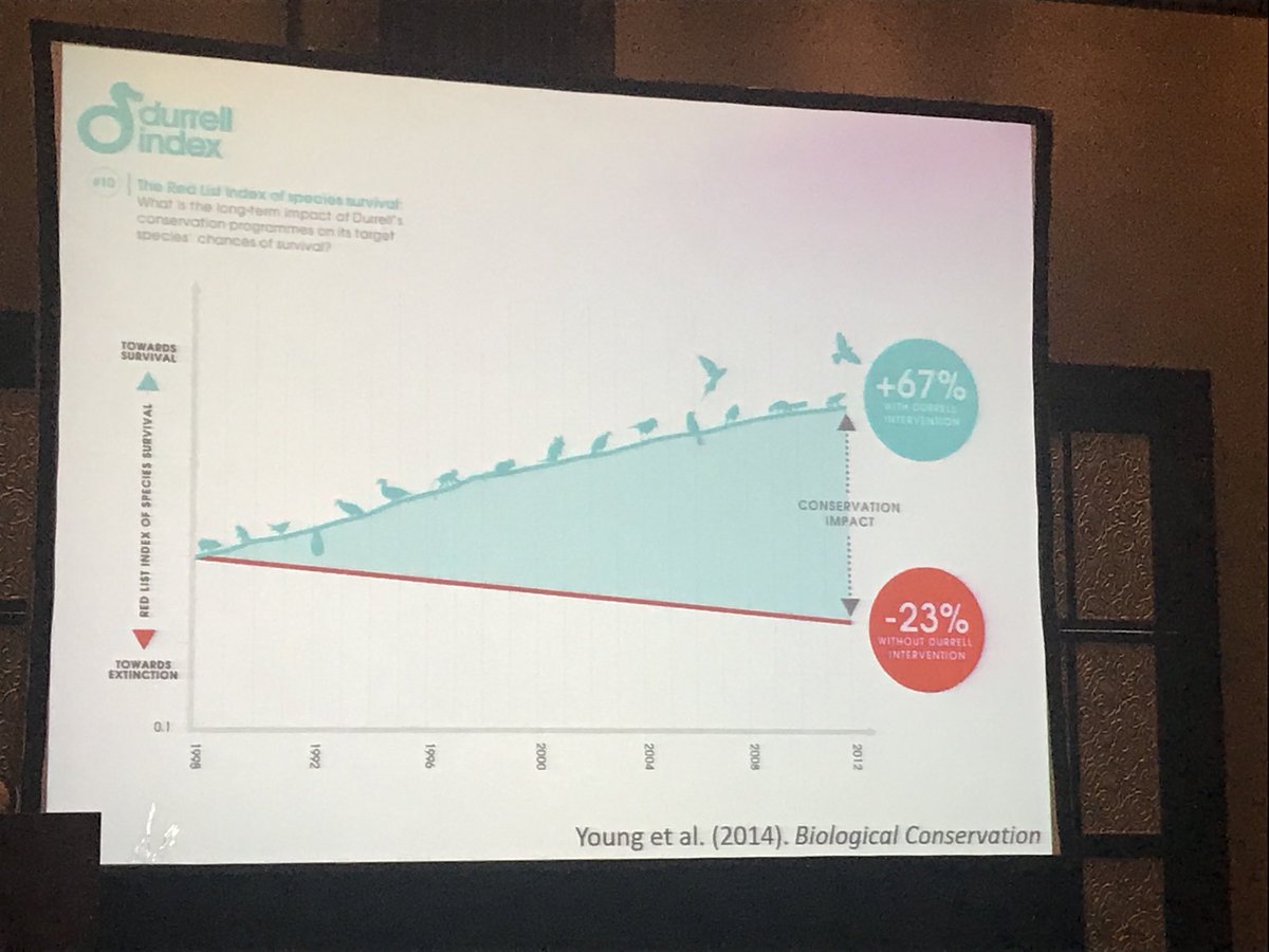 Simon Stuart tweet media