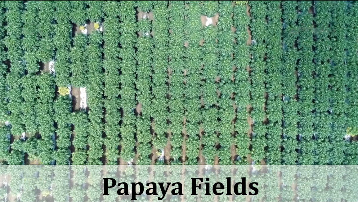 Global Parli intends to provide 21600 plants in next fortnight which includes GPS tracking & monitoring to anyone willing to plant in Aarey.

Citizens hv to take control for #GreenMumbai.A nation is too precious to be left to politicians alone.
Lets #OverCompensateAarey
JAI HIND!