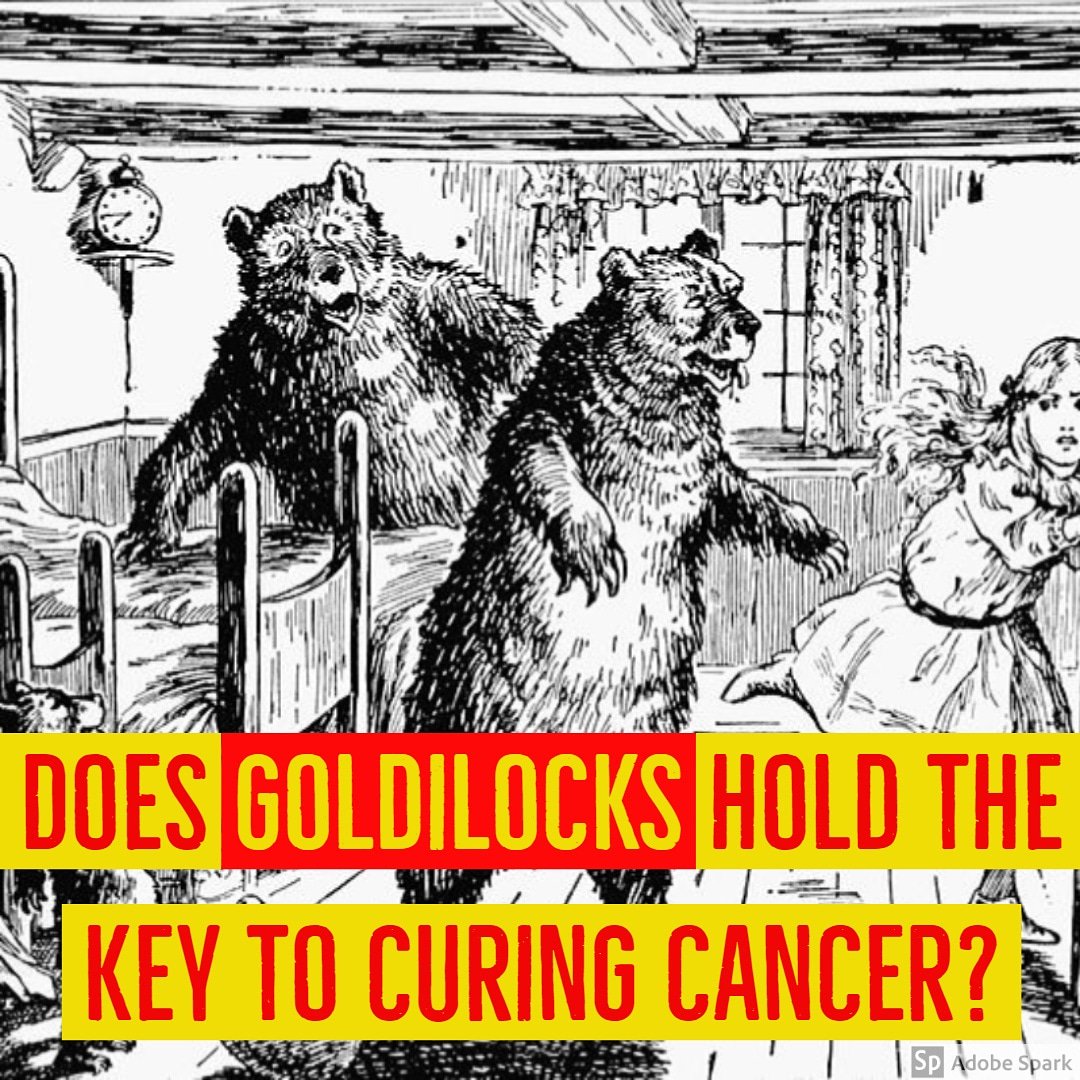 BitesizeScience's tweet photo. Glioblastoma is a highly aggressive cancer that turns off our immune system to prevent its destruction.  However researchers @umnmedschool are using temperature to turn it back on! But this can't be too hot..or too cold..it needs to be just right🌡

READ 👉https://t.co/3WBWk5KsV2 https://t.co/LknbOzjywI