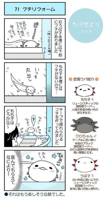 うぱ子だより を含むマンガ一覧 古い順 10ページ ツイコミ 仮 うぱ子だより を含むマンガ一覧 古い順 10ページ ツイコミ 仮
