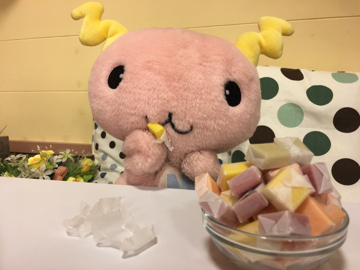 Hashtag 函館歯科衛生士専門学校 Sur Twitter