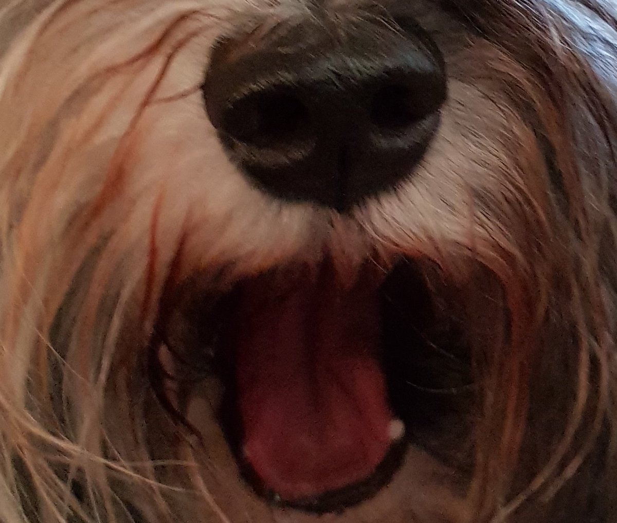 AusMumTesla's tweet photo. @28delayslater #jackinthefrunk https://t.co/yieMYLYov8