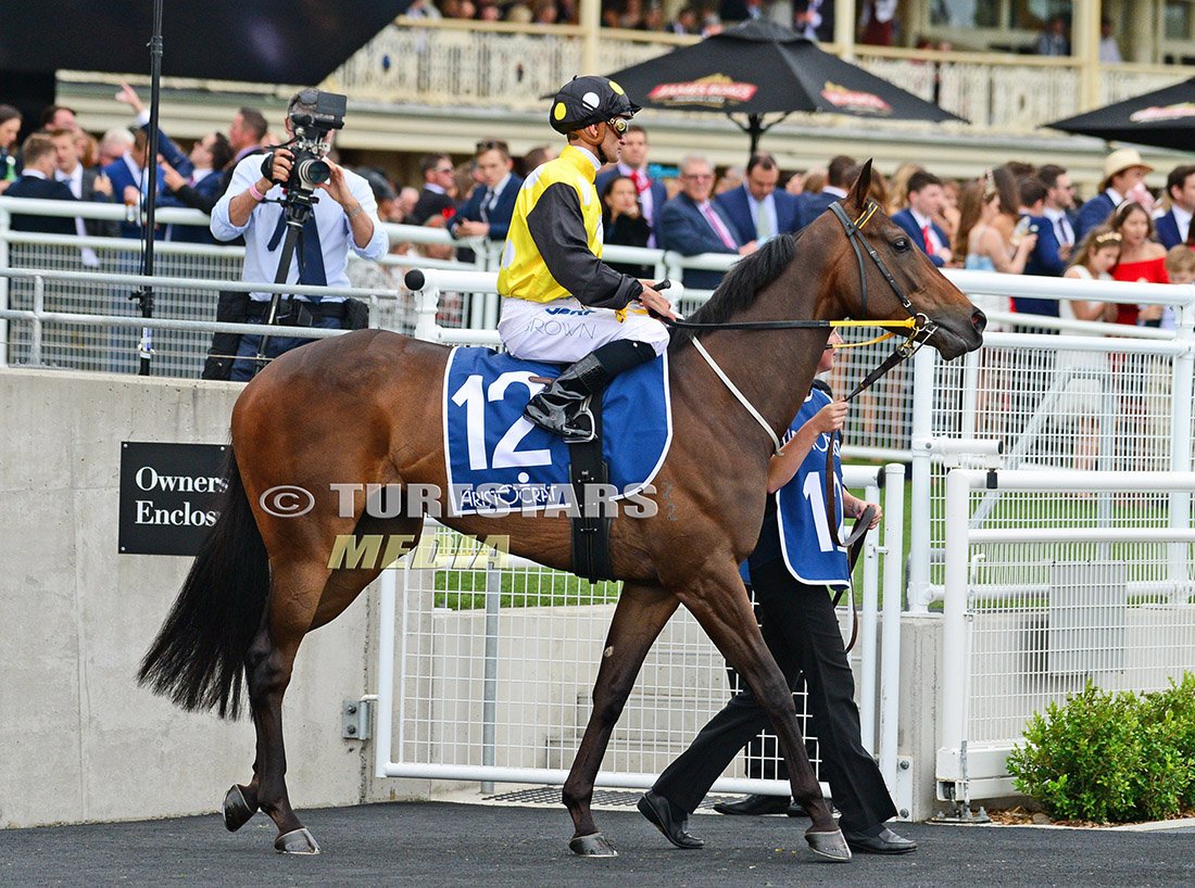 LisaGrimm9's tweet image. Everest defending champ #REDZEL looked strong in his jumpout this morning !   ✅ all the boxes. 
IN HER TIME who ran really well behind him is the forgotten horse I think this year ! Perhaps because we haven't seen her yet. She's fast on her day !

#TheTABEverest