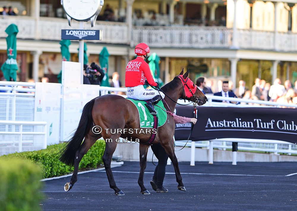 LisaGrimm9's tweet image. Everest defending champ #REDZEL looked strong in his jumpout this morning !   ✅ all the boxes. 
IN HER TIME who ran really well behind him is the forgotten horse I think this year ! Perhaps because we haven't seen her yet. She's fast on her day !

#TheTABEverest