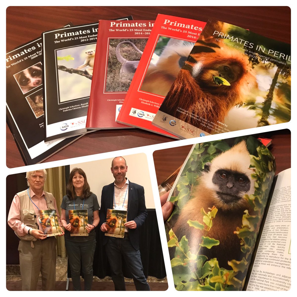 Johanna Rode-Margono tweet media