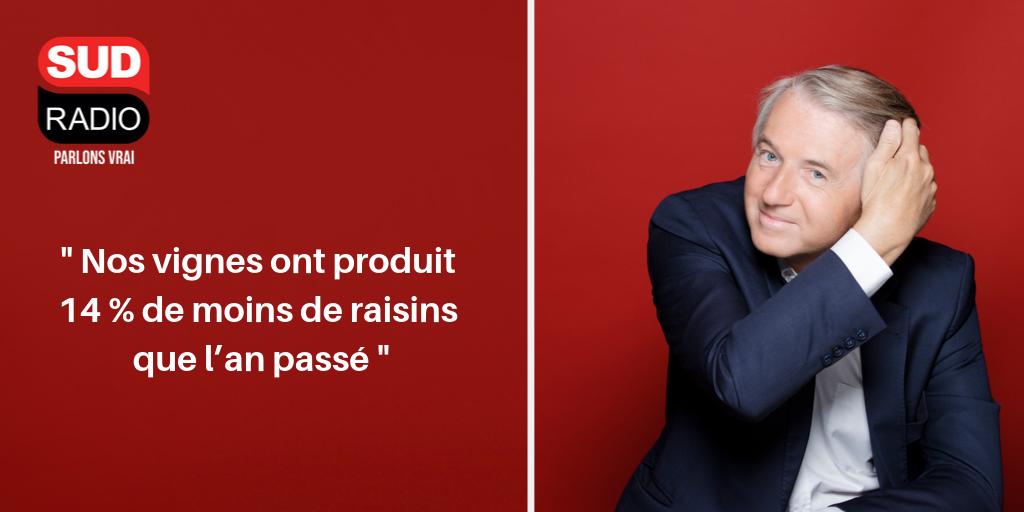 SudRadio's tweet photo. 🍷🍇[#LeChiffreDuJour] c'est tout de suite avec notre éditorialiste @ydekerdrel . Sur la table : des #vendanges qui s’annoncent décevantes. #vignes #Bordelais #viticulteurs #DonaldTrump . @cecile2menibus @PatrickRogerE #GrandMatinSudRadio #vendanges2019 #cuvee2019 https://t.co/KAcItVW2Gu