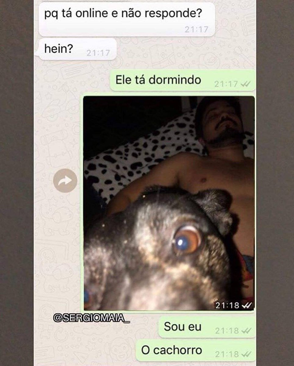 Pedgress's tweet image. Hahahaha