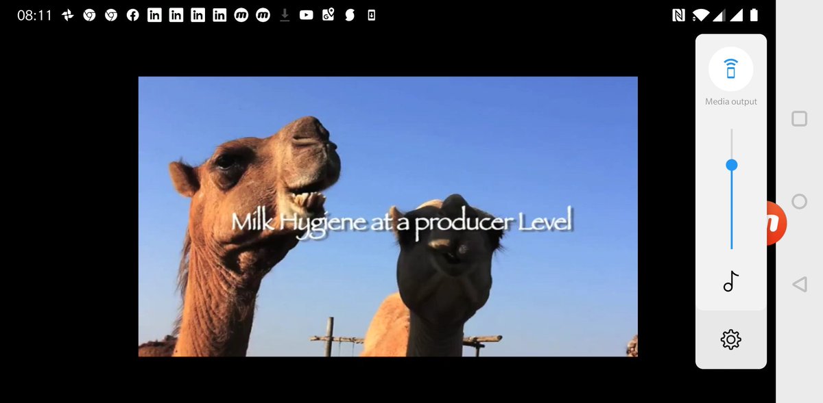 Get ready for Camel Cheese! iCow pastoralists can now learn from this great video on camel milk hygiene and camel cheese production on iCow  here bit.ly/icow2 <a href="/momanyink/">Dr Kelvin Momanyi</a> <a href="/wameyokw/">Kenneth Wameyo 🇰🇪 BVM</a> <a href="/ILRI/">ILRI.org</a> @dailynation @KTNKenya <a href="/citizentvkenya/">Citizen TV Kenya</a> <a href="/eleaFoundation/">elea Foundation for Ethics in Globalization</a> <a href="/JulieGichuru/">Julie Gichuru</a> <a href="/TomiMeyer/">Tomi Meyer</a>