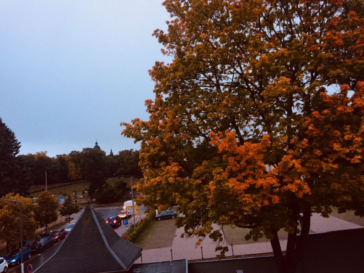Friedenstein's tweet photo. Hurra, es sind #Herbstferien in #deinThüringen! Während der Ferien bieten wir vom 8. bis 17.10. ein tolles Programm! Heute um 10 Uhr begleiten euch unsere #FSJler in den #Schlosspark und basteln eine Kleinigkeit. 11 Uhr beginnt der geheimnisvolle Rundgang durchs #Schloss #Museum https://t.co/QIaEj5maKU