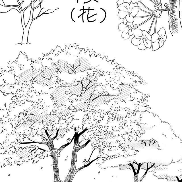 Manzemi マンゼミ 公式 Twitterren 背景で描かれる樹木は 季節やその土地の性質を表すのに重要 寒い地域なのか日が短い地域なのか 夏の始まりなのか終わりなのか 漫画 背景 作画 樹木 木 Manzemi 漫画講座https T Co Fvw6dz3wyr T Co 6uy8x96wen Manzemi マンゼミ 公式 Twitterren 背景で描かれる樹木は 季節やその土地の性質を表すのに重要 寒い地域なのか日が短い地域なのか 夏の始まりなのか終わりなのか 漫画 背景 作画 樹木 木 Manzemi 漫画講座https T Co Fvw6dz3wyr T Co 6uy8x96wen