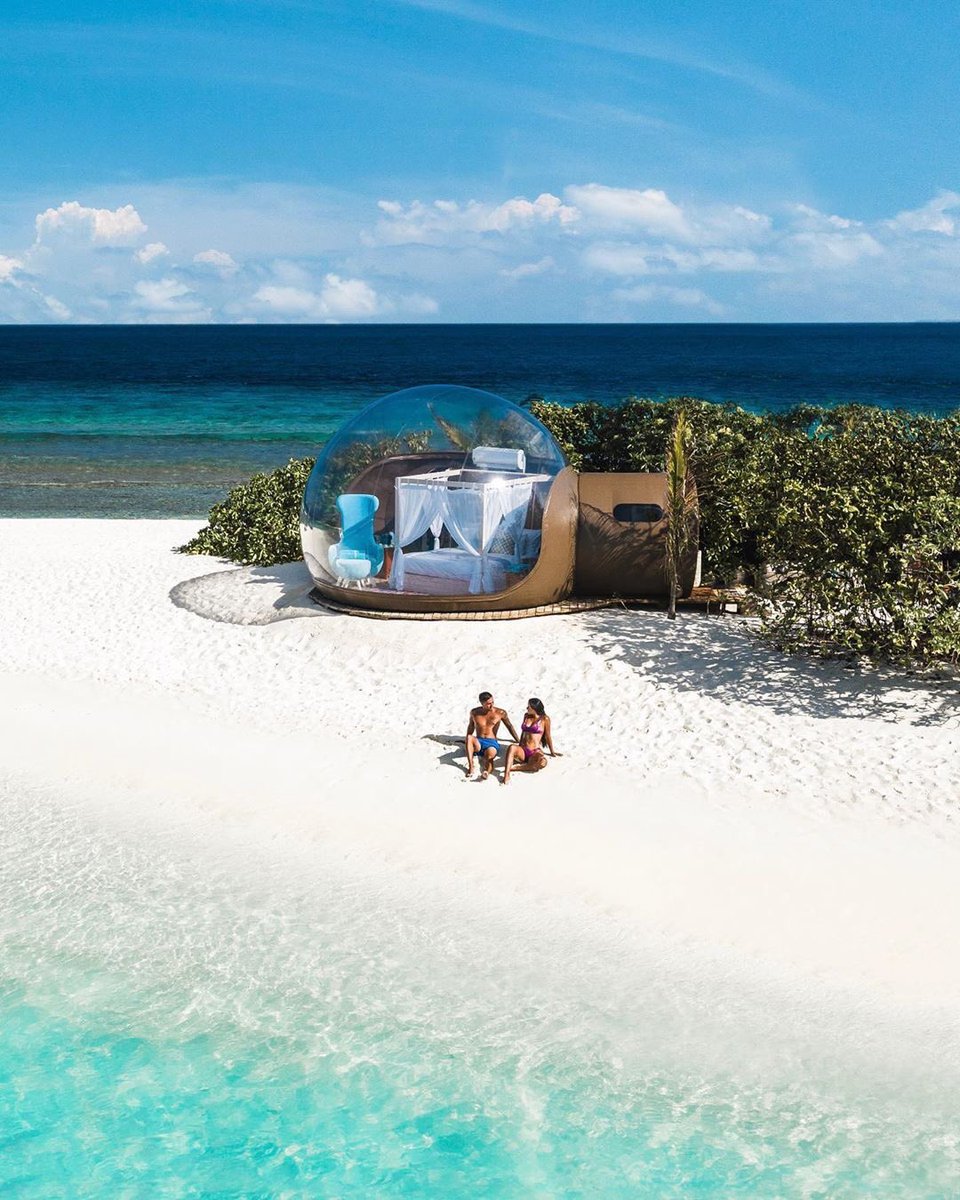 Travel Update tweet media