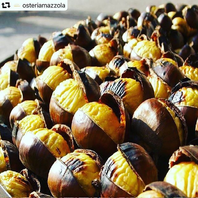 microbirrificio's tweet photo. #repost @osteriamazzola
・・・
« Ann sücc, casctégn a Mücc »si dice da queste parti. #
Chi conosce altri proverbi o modi di dire legati alle castagne? 
Scriveteli qui e settimana prossima premieremo il migliore durante la Castagnata in Musica che avrá luogo sabato prossimo dall… https://t.co/XioEobPZ9h