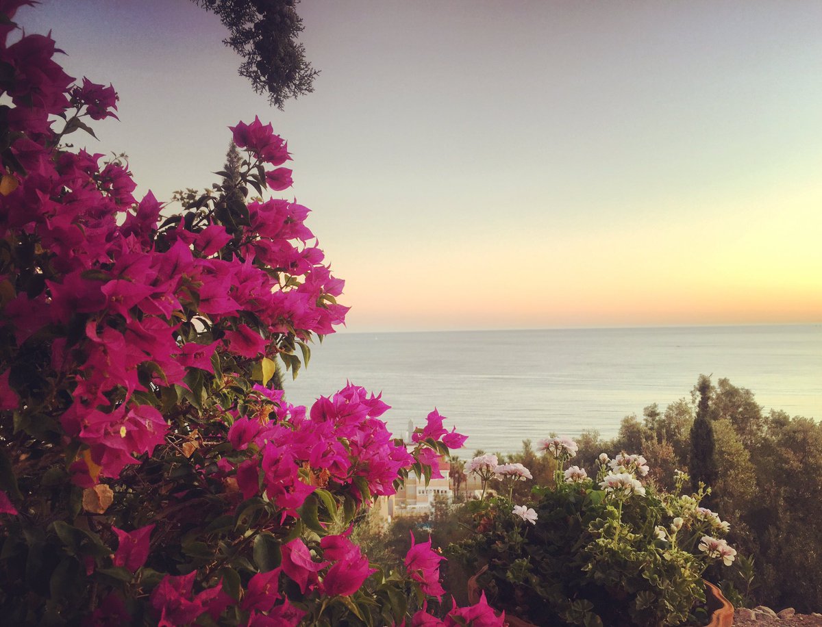 CeliaEventos's tweet image. En este lugar tan mágico se celebrará nuestra próxima boda 💙#wedding #malaga #weddingplanner #bodasotoño