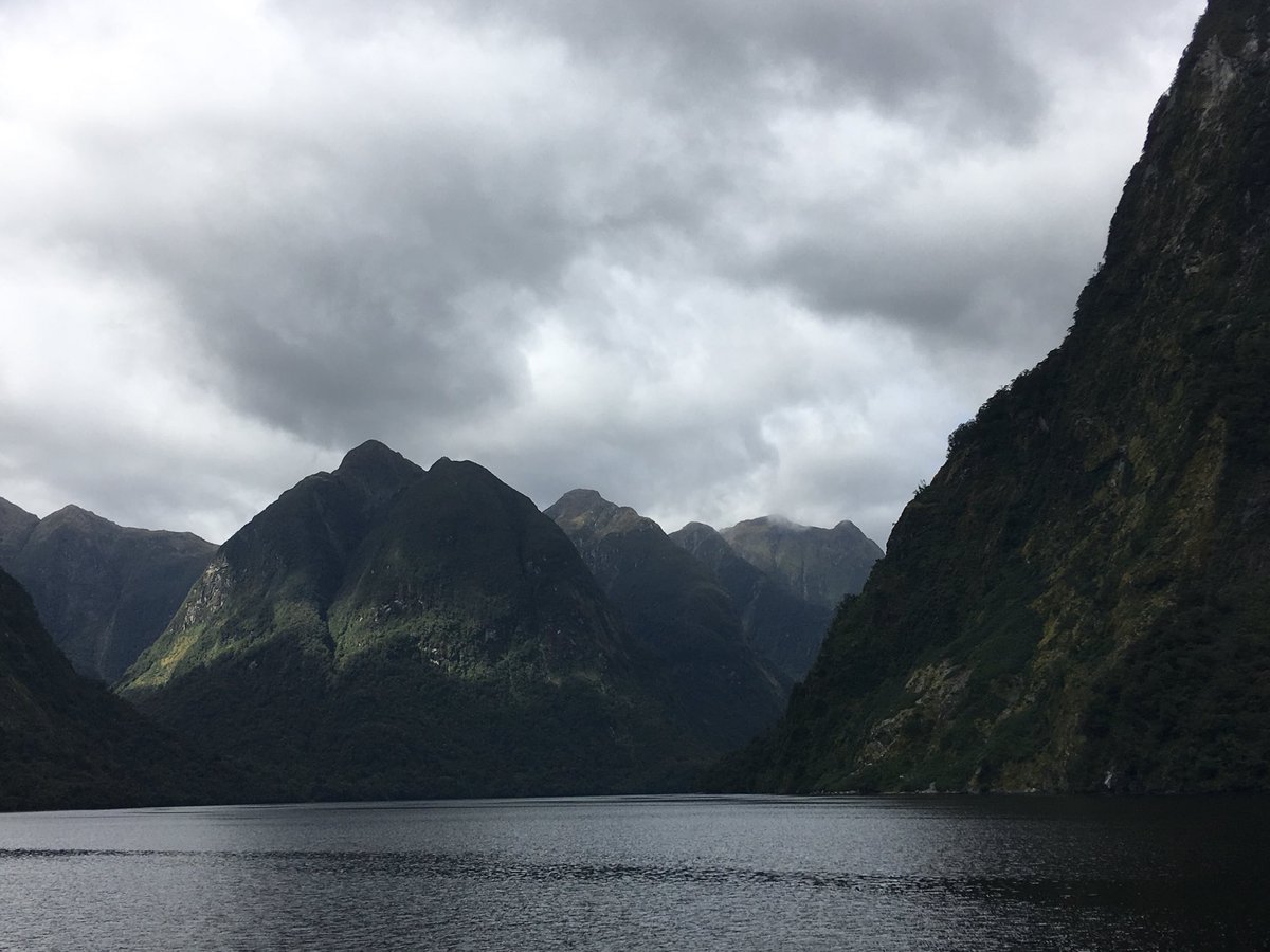 English1Maiden's tweet photo. Doubtful Sound. Inestimable beauty and tranquility. https://t.co/EBmiW6y01d