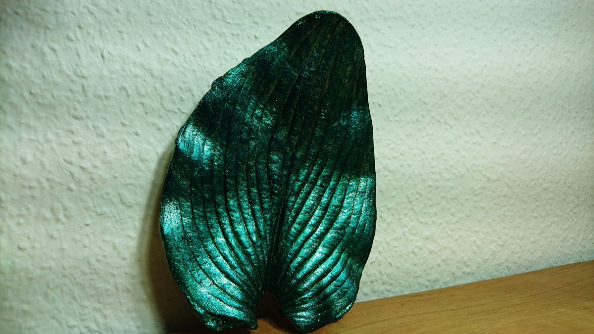 OderKunst's tweet photo. Beton Lichtschale 
#art #artwork #kunst #beton #betondeko #betonoptik #betondesign #mayagold #Lichtschale  #schale #schalen #wallnuß #puzzl #puzzelspiel #puzzelteile #hobby #Hosta #funkie #hostafunkie #blätter #blatt #schale 
https://t.co/EoBbuQEVuU https://t.co/cf4ifyYzEU