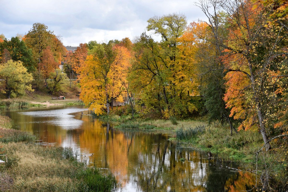 Gints_photo's tweet photo. Zelta rudens pie Dobeles pilsdrupām #autumn #dobele #goldenautumn #october #photo #photography #latvia #lv #latvijasskati #latvianature #baltic #visitlatvia #ilovelatvia #visitbaltic #latviannature #rudens #zeltarudensdobele #visitdobele #mākoņi #atspulgs #clouds #reflection https://t.co/Y0czOdOVo2