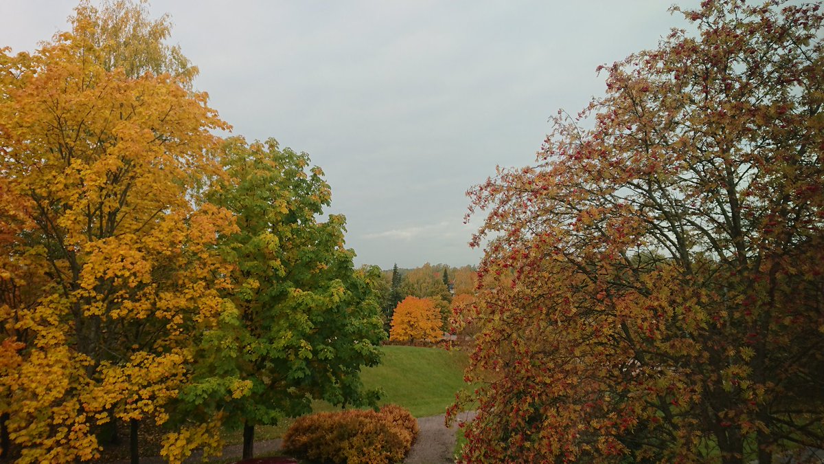 Lähietsintäharjoitus 2/3 käynnissä, näissä maisemissa kelpaa etsijöitä odotella. Päiväkotien arjen turvallisuus on tärkeintä! #toimintatavathaltuun #varhaiskasvatus