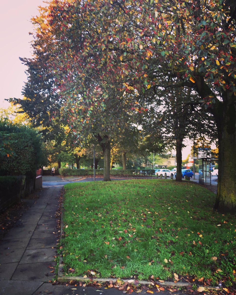 Good morning Monton 🤩 Lets celebrate our streets and beauty of our village today! Share pictures and tag us in yours!