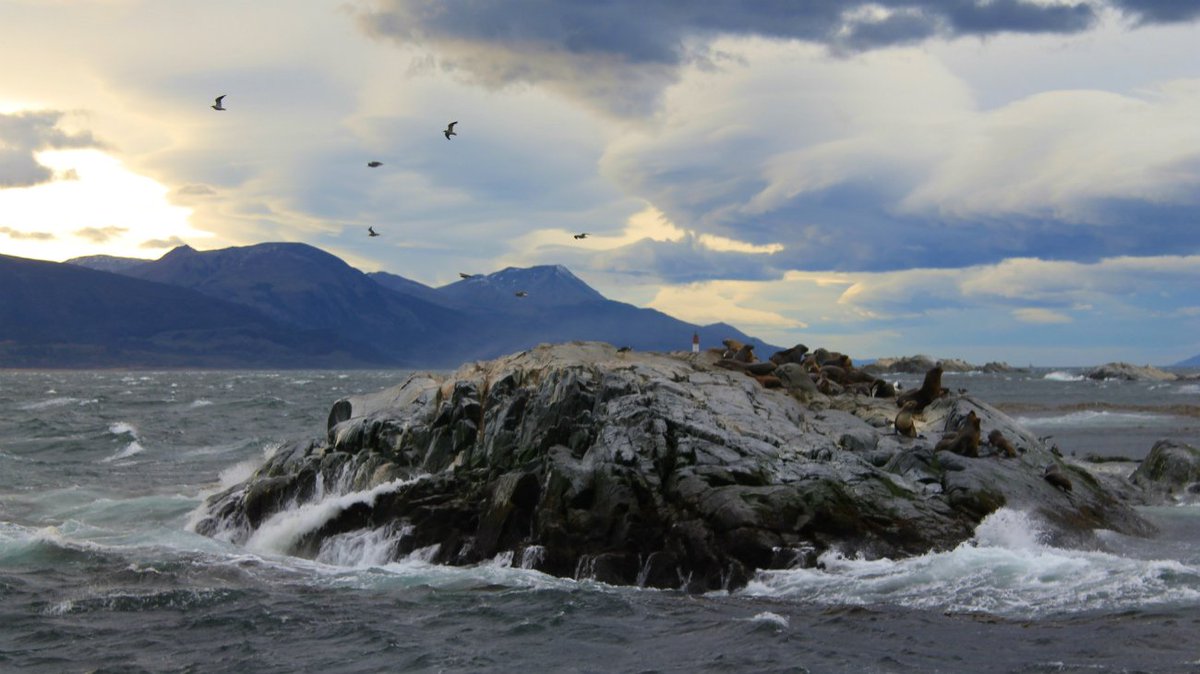 VIDEO 🎞 | La pesca artesanal de centolla sobrevive en la ciudad del Fin del Mundo: bit.ly/30X7gQO

En el extremo más austral del mundo, los turistas “pueden degustar la centolla directamente en la casa del pescador y conocer cómo vive”, dice una pescadora.