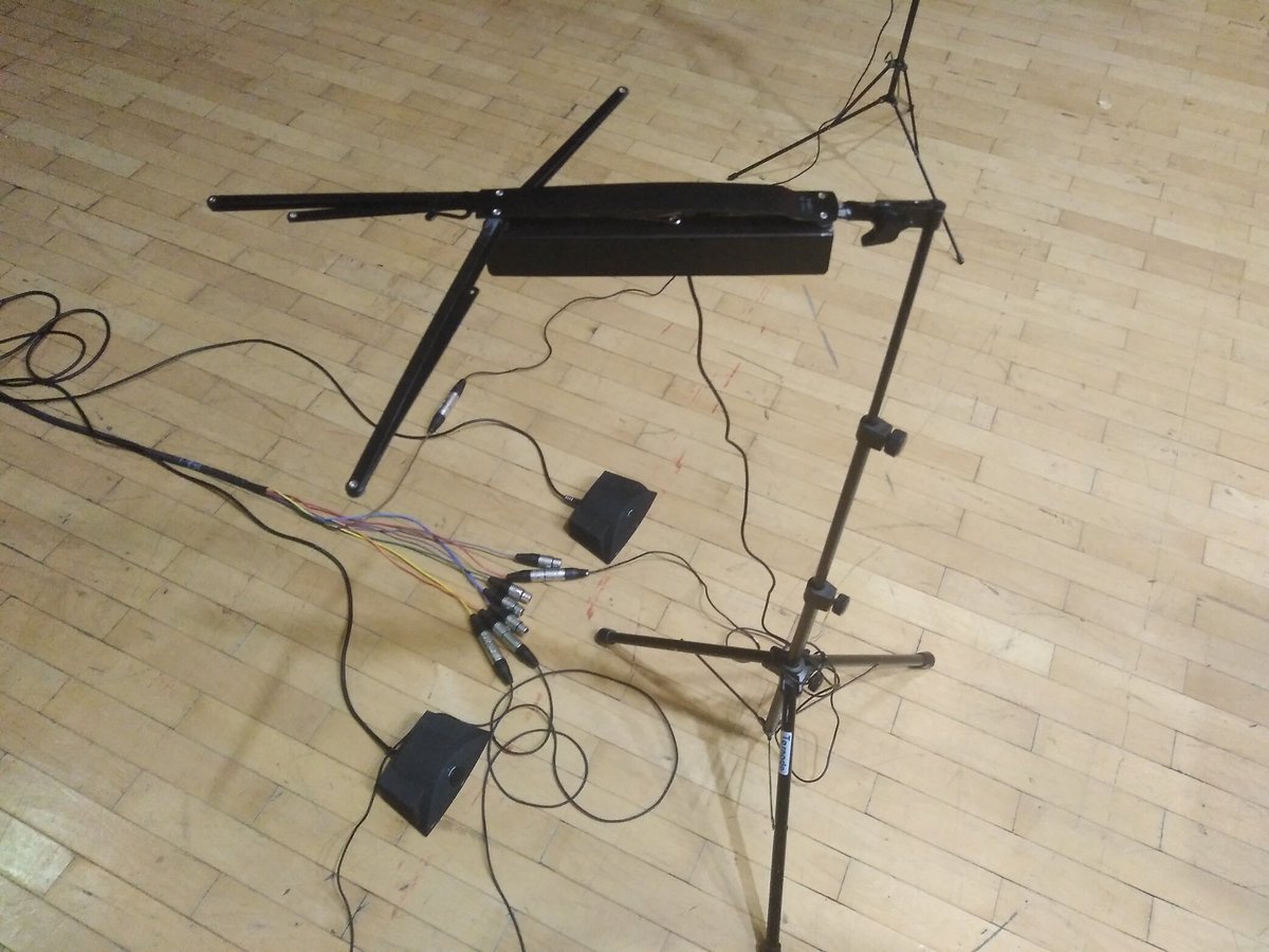 Schallfeld Ensemble tweet media
