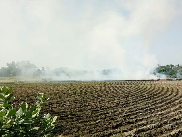 dailyajitnews's tweet image. http://192.192.90.112:81/latestnews/2820836.cms
ਪਾਬੰਦੀਆਂ ਦੇ ਬਾਵਜੂਦ ਪਰਾਲੀ ਸਾੜਨ ਦਾ ਰੁਝਾਨ ਸ਼ੁਰੂ
@dailyajitnews #Fire #Paddystraw #Farmers