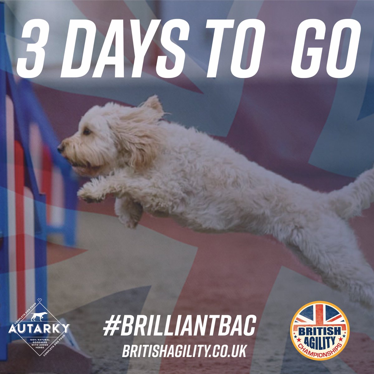 British Agility tweet media