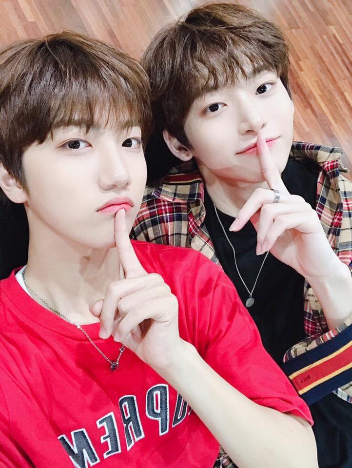 Starshipz_VN's tweet photo. StarshipZ tập hợp những cậu bé siêu siêu đáng yêu, xinh xẻo với chiếc visual đỉnh kout❤
-----------------
#StarshipZ🚀
#LittleStar🌟 https://t.co/V1QufXkaov